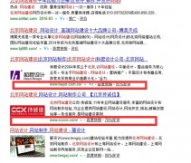 业内资讯—3月5日百度取消了“快照日期”的显示。